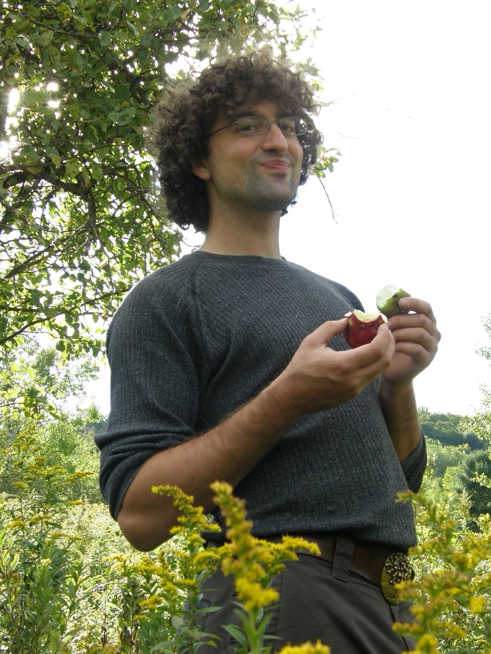 Several apples being compared during field documentation